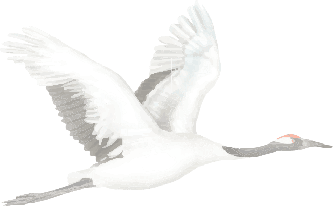 ornamen bangau sakura.png