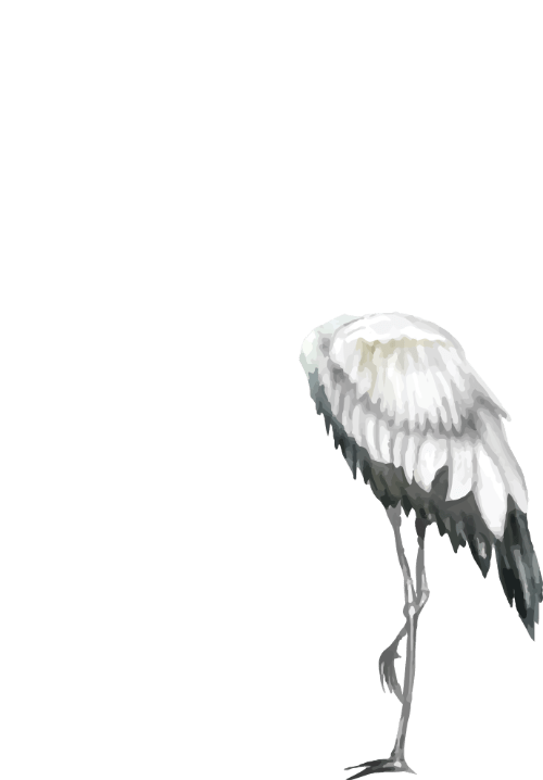 ornamen bangau2 badan sakura.png