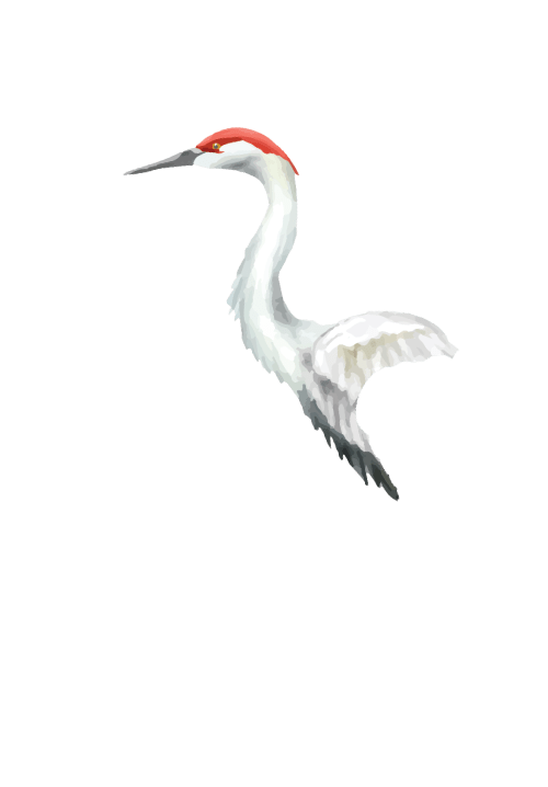 ornamen bangau2 kepala sakura.png