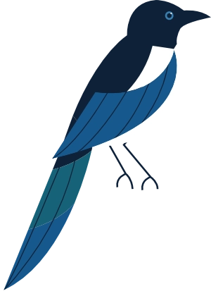 ornamen bird hanauisarang.webp