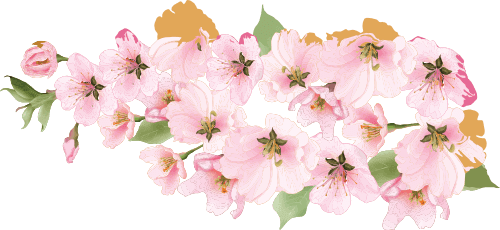 ornamen bunga2 sakura.png