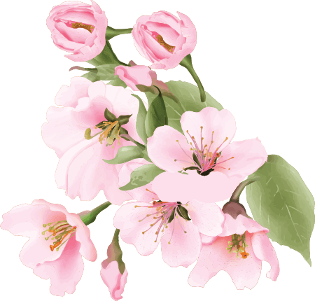 ornamen bunga3 sakura.png